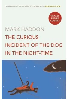 The Curious Incident of the Dog in the Night-time