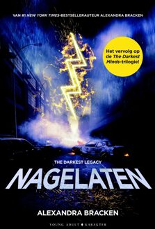 The Darkest Minds-trilogie - Nagelaten