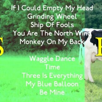 The David Rhodes Band