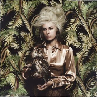 The Day Before Halloween