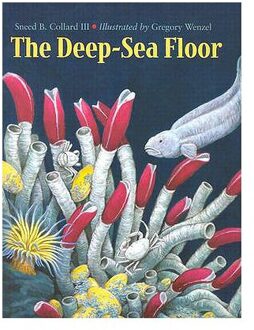 The Deep-Sea Floor