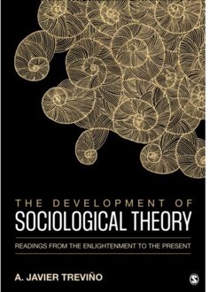 The Development of Sociological Theory