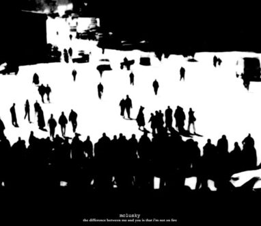 The Difference Between Me And You Is That I'm Not On Fire - Mclusky