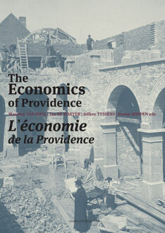 The Economics of providence / L'economie de la providence - eBook Universitaire Pers Leuven (946166110X)