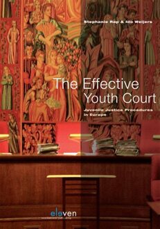 The effective youth court - eBook Stephanie Rap (9460949541)