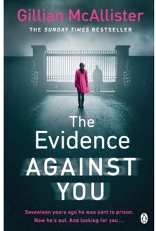 The Evidence Against You - Gillian McAllister