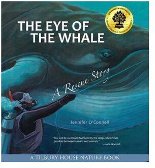 The Eye of the Whale