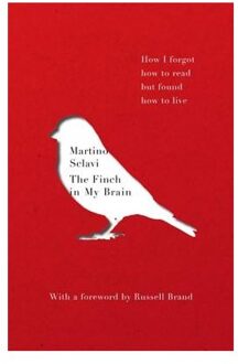 The Finch in My Brain