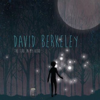 The Fire In My Head - David Berkeley