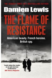 The Flame Of Resistance - Damien Lewis