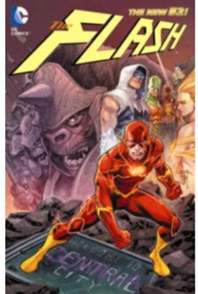 The Flash Vol. 3