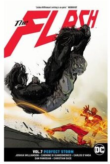 The Flash Volume 7