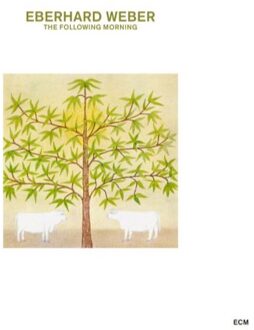 The Following Morning