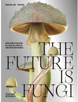 The Future Is Fungi - Michael Lim