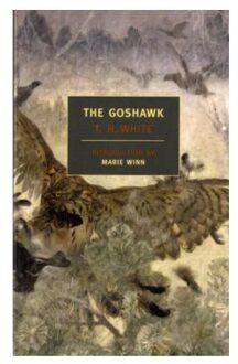 The Goshawk