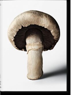 The Gourmand's Mushroom. A Collection Of Stories & Recipes - The Gourmand
