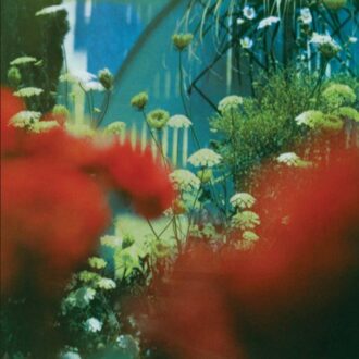 The Haze (Green Edition)