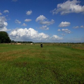 The Hilvarenbeek Recordings