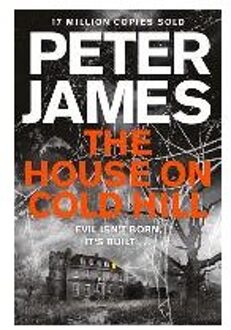 The House on Cold Hill