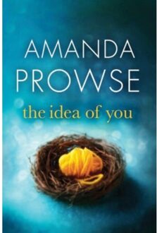 The Idea Of You - Amanda Prowse