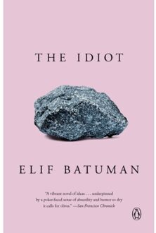 The Idiot - Boek Elif Batuman (014311106X)
