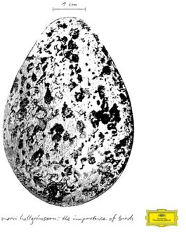 The Importance Of Birds - Snorri Hallgrimsson