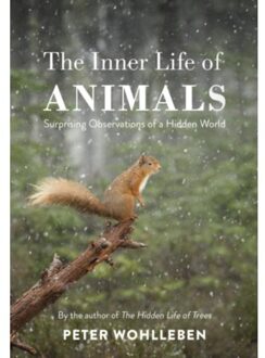 The Inner Life of Animals