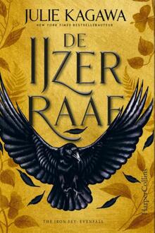 The Iron Fey: Evenfall 1 - De IJzerraaf