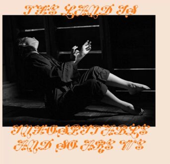 The Land Is Inhospitable And So Are We - Mitski