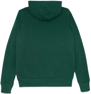 The Legend of Zelda Tears Of Kingdom Hoodie - Green - S Meerdere kleuren