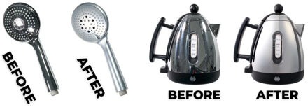 The Light Cone - Kit