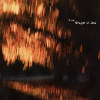 The Light We Chase - Bloom