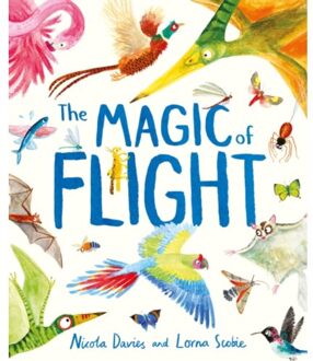 The Magic Of Flight - Nicola Davies