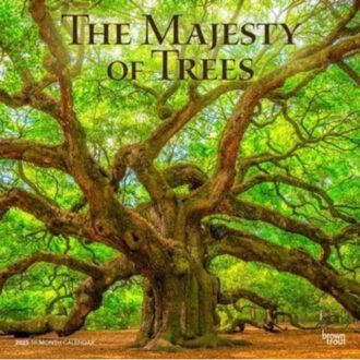 The Majesty Of Trees 2025 12 X 24 Inch Monthly Square Wall Calendar Plastic-Free - Browntrout