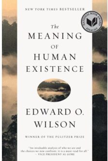 The Meaning of Human Existence