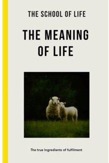 The Meaning Of Life - The School of Life