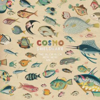 The Much Much How How And I