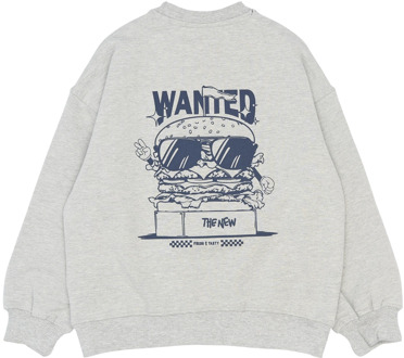 The New jongens sweater Grijs - 146-152