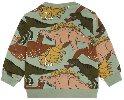 The New jongens sweater Groen - 80