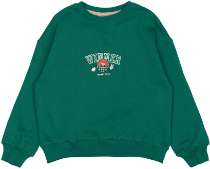 The New jongens sweater Groen - 98-104