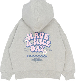 The New meisjes hoodie Grijs - 146-152