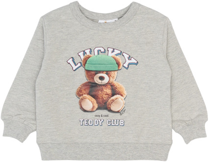 The New meisjes sweater Grijs - 80