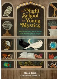 The Night School For Young Mystics - Toll, Maia