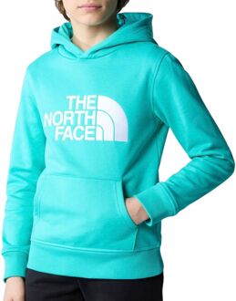 The North Face Drew Peak Hoodie Junior aqua - wit - XL-164/176