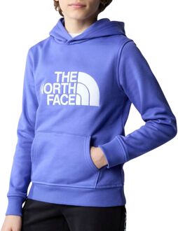 The North Face Drew Peak Hoodie Junior blauw - wit - XL-164/176