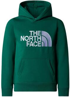 The North Face Drew Peak P/O Casual Sweater Jongens 152 Groen