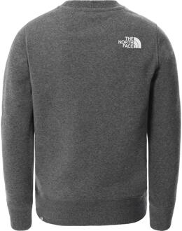 The North Face jeugdbox sweatshirt met ronde hals in grijs - XS