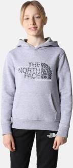 The North Face Kids Drew Peak Overhead Hoodie in Grijs - XL