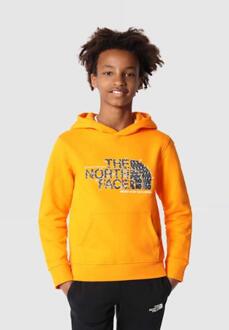 The North Face Kids Drew Peak Overhead Hoodie in Oranje
