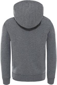 The North Face Unisex Kids Drew Peak Borduur Hoodie Grijs